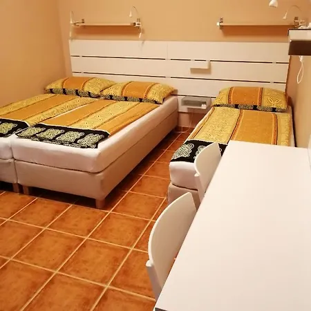 Karpatia Panzio 3* Strigoniu
