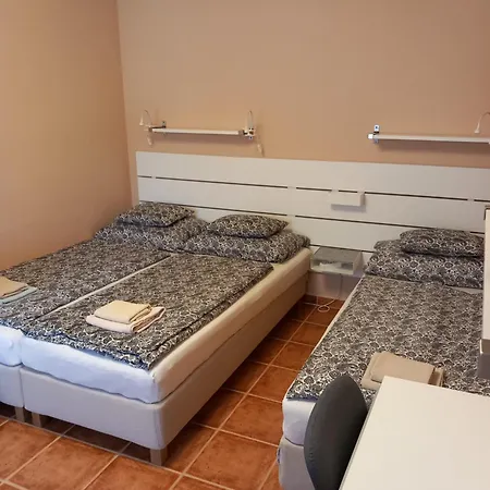 Bed & Breakfast Karpatia Panzio 3*